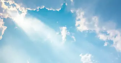 Wahls-subtlesymptoms