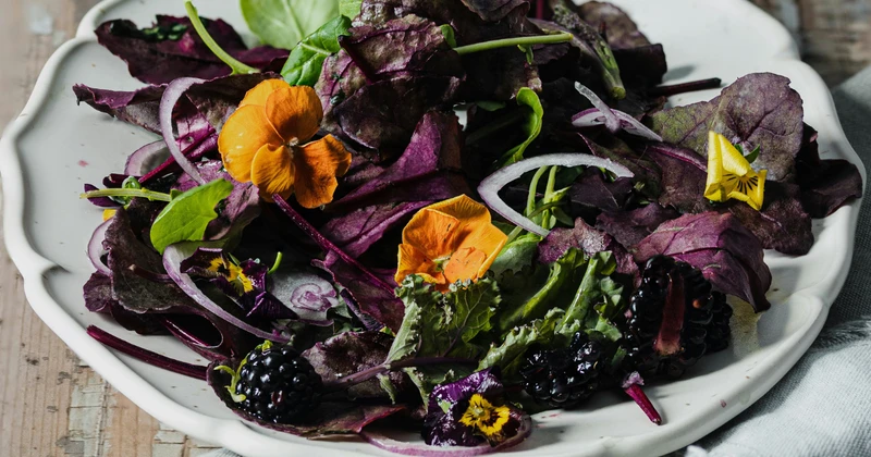 What-to-Eat-for-a-Calmer-Immune-System-Feeding-Your-Microbiome