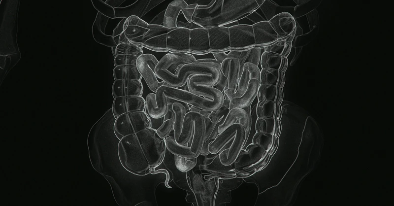 Wahls-Healing Leaky Gut Naturally-Sept26